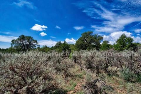 Dynamic 1/4-Acre Dream Lot Near Taos, NM with Power and Road Frontage #64125