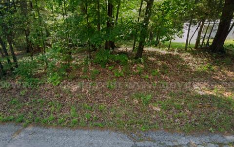 Horseshoe Bend - 0.19acre lot very close to Diamond Lake