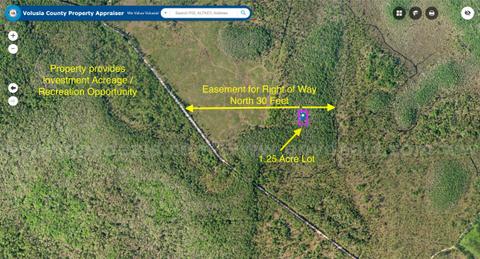 1.25 Acre Volusia County Florida No Reserve!
