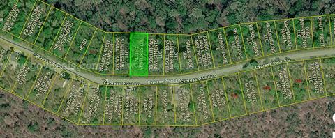 Finance 0.36 Acres in Prestigious Holiday Island