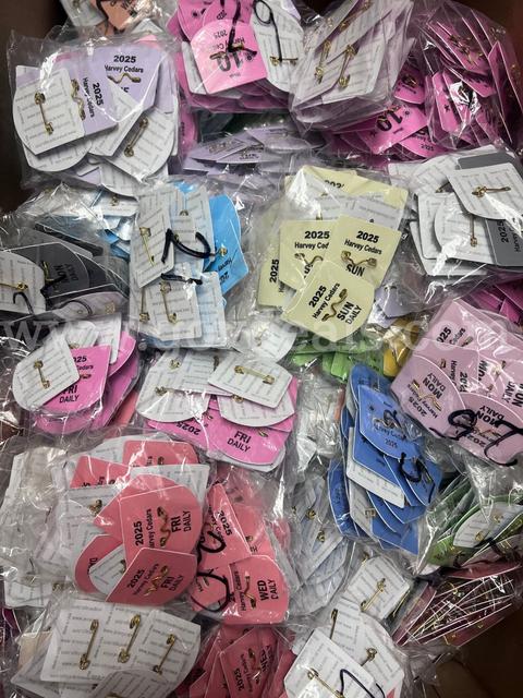 Large Lot of Beach Badges - 1000+ Weekly, Daily w/ Pins
