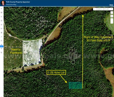 1.25 Acre Polk County Florida No Reserve