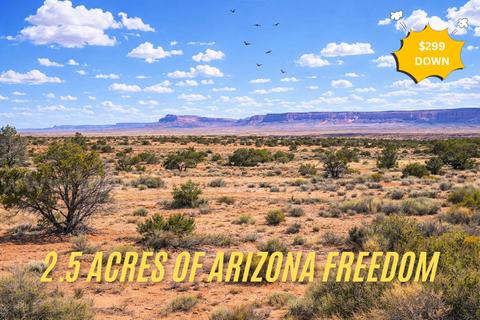 2.5 Acres in Navajo County, AZ