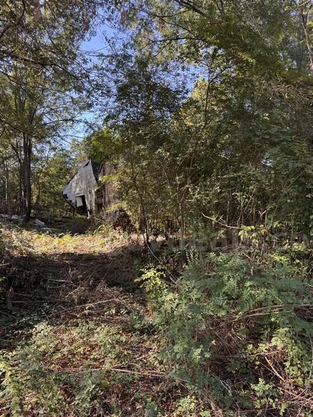 217 Arbor Hills Dr