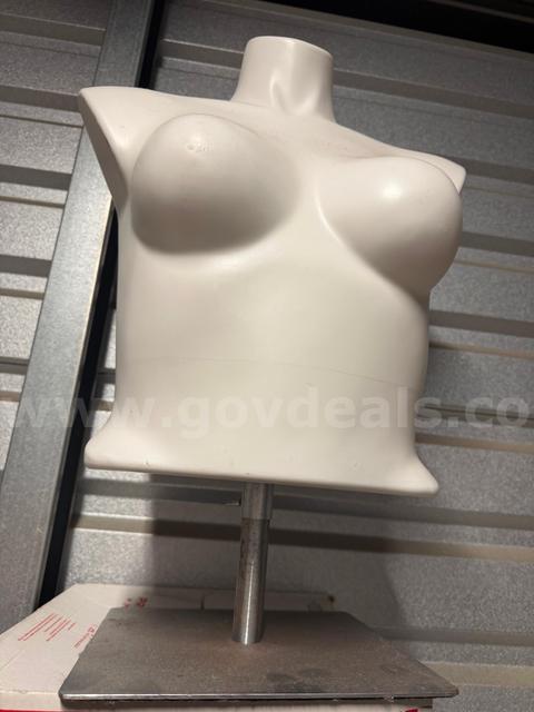 Polyethylene Female Shirt Form Extendable With Standing Floor Base,Unbreakable NHLPFB4M Lightly used
