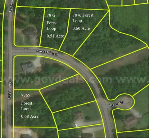 7872 Forest Loop Clay AL 35126 - Land Only - 0.54 acre - Appraised at $36K