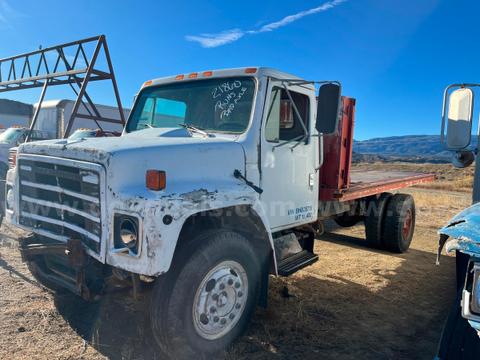 1981 International 1754