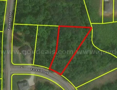 7876 Forest Loop Clay AL 35126 - Land Only - 0.62 Acre - Appraised at $36K
