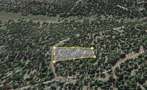 1.53 Acres gate-away flat lot with street access surrounded by trees and tranquility
