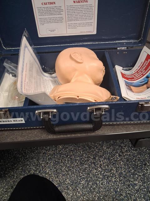 Life Form Replicas Baby Head.