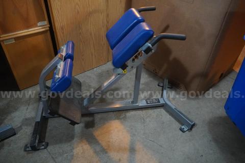 Hammer Strength Back Extension Weight Bench