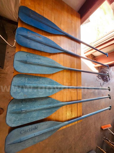 LOT OF (6)  BLUE CARLISLE  PADDLES 5 FOOT LONG