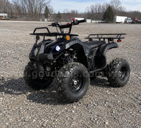 FREE SHIPPING - NEW 2025 - 125cc Utility ATV – Automatic w/ Reverse – Mid-Size Quad