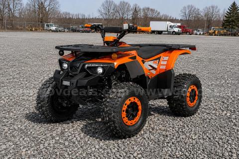 FREE SHIPPING - NEW 2025 - Four Wheeler 125cc - Factory Sealed