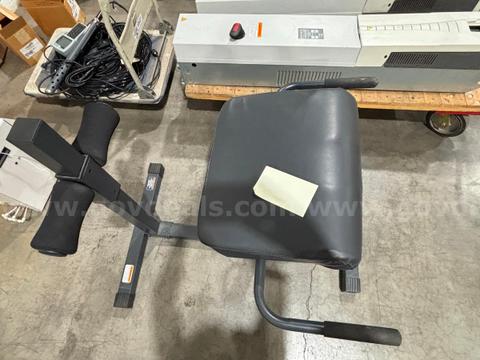 Marcy Roman Back Extension Chair JD 3.1