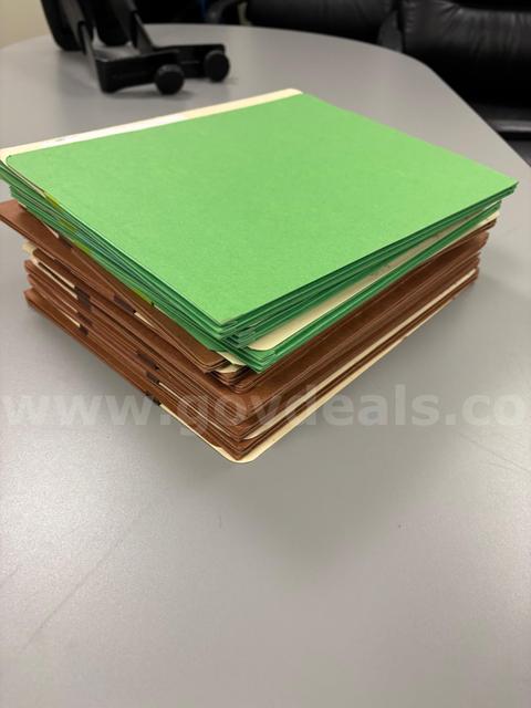Pocket (accordian) files