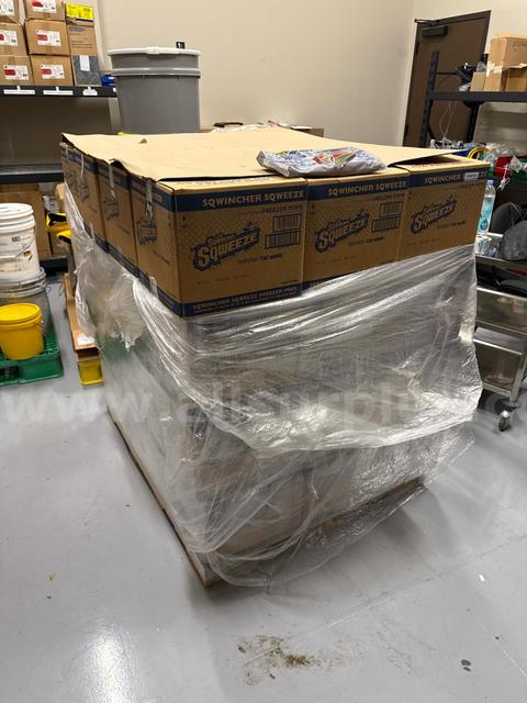 Qty. 48 boxes Sqwincher Sqweeze Electrolyte Freezer Pops Bulk Pallet