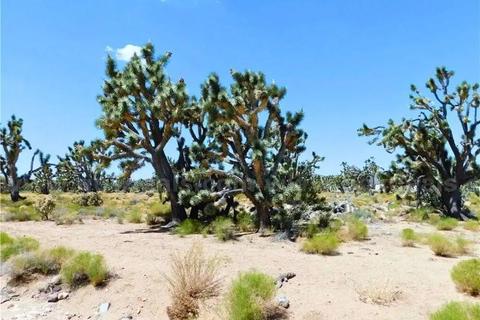 Exceptional Meadview AZ 1 Acre Lot 21, Close to Lake Mead, Road Frontage