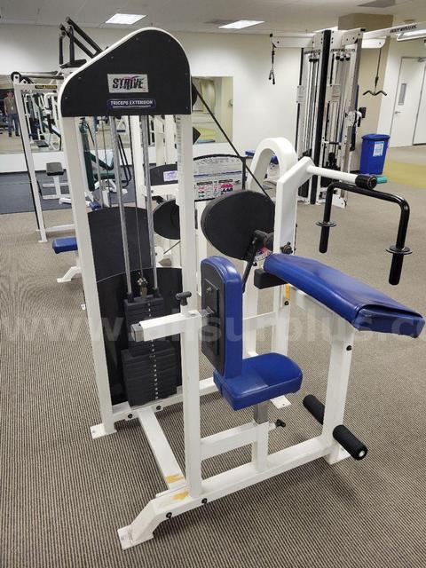 Strive Triceps Extension Machine