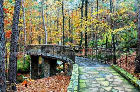 Peaceful 0.28 Acre Residential Lot in Burgos Way, Hot Springs Village – Infill Location Near Golf, Lakes & Trails
