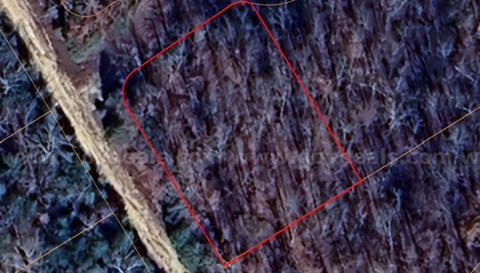 Horseshoe Bend - 0.44acre lot very close to Diamond Lake
