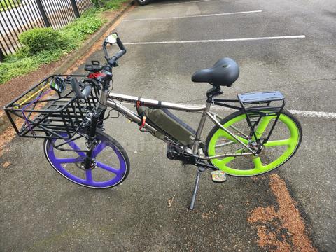 Custom 100% Titanium Cargo E-bike
