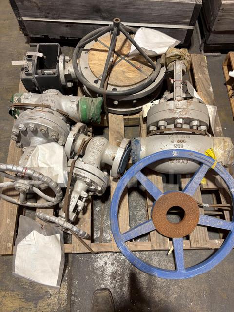 Valve, Check, Gate, Globe, Butterfly, 3/4in to 12in, #150 to #800, Neway, Kitz,