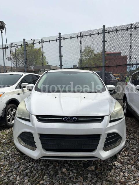 2014 Ford Escape (M-987)