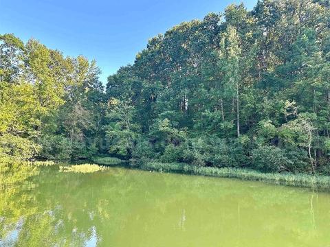 Prime Lakeview Retreat: 0.22-Acre Wooded Lot near Lake Desoto