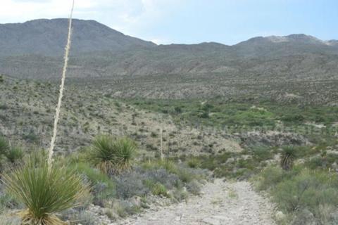 MAJESTIC 10-Acre Northeast Corner: Sunrise Peaks & High-Desert Serenity!