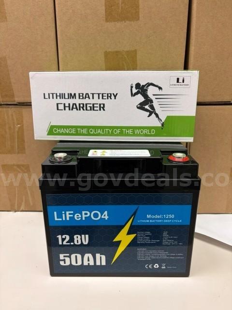 Lot of 9 NEW LiFePO4 Lithium Batteries and 9 Lithium Battery Chargers