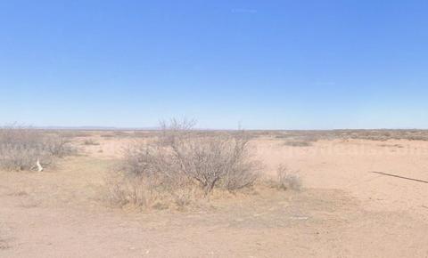 0.53 acres in Deming NM, with an amazing view of the Florida Mountains