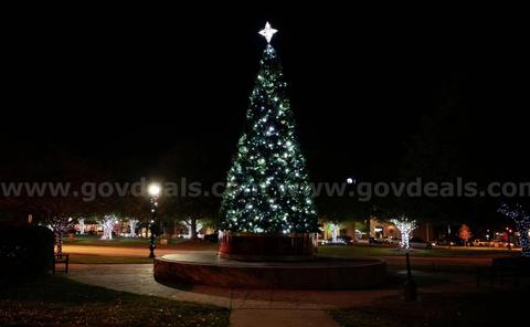 24 ft Christmas Tree