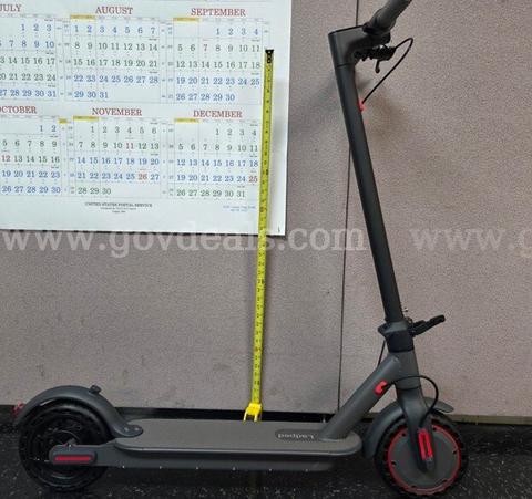 Lot of 2 New-in-Box Ladped LP60 Electric Scooters - 350W, 8.5-inch