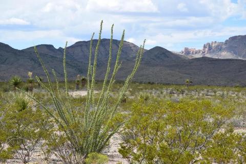 Exceptional 20-Acre Property ā Mountains of Texas