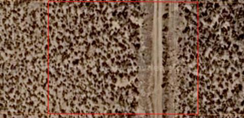 Own Your Own Piece of Beautiful Northern New Mexico – Near Taos! 0.50acre!