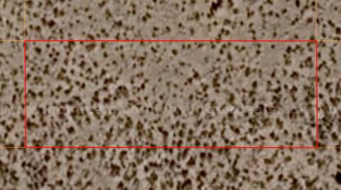 Own Your Own Piece of Beautiful Northern New Mexico – Near Taos! 0.50acre!