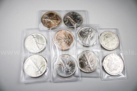 Ten Piece Lot 1990 Silver Eagles