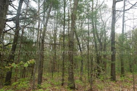 AFFORDABLE 0.19-ACRE WOODED PARCEL – GRAND JUNCTION, MI!