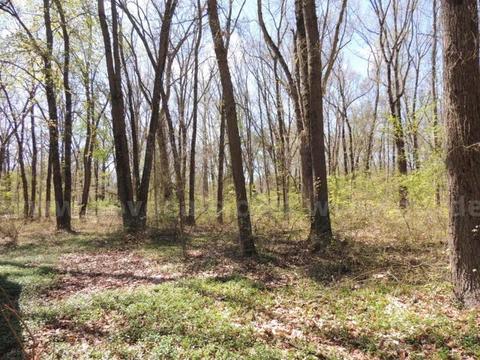OFF-GRID INVESTMENT: 0.12 ACRES NEAR LOWER SCOTT LAKE β FENNVILLE, MI