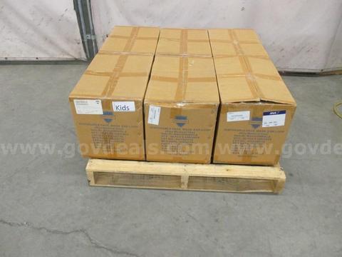 Pallet of Children Masks - B3