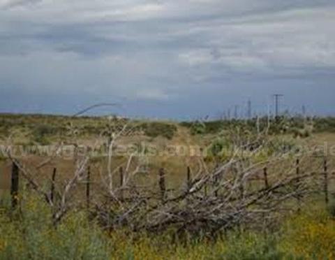 Expansive West Texas Oasis in La Hacienda Estates 4.98 Acre Homesite w/Roads & Power Lots 739 & 740
