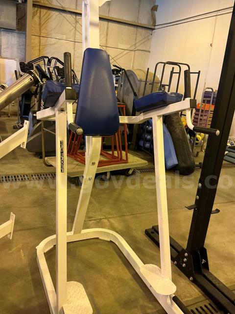 ProMaxima vertical knee raise / dip station