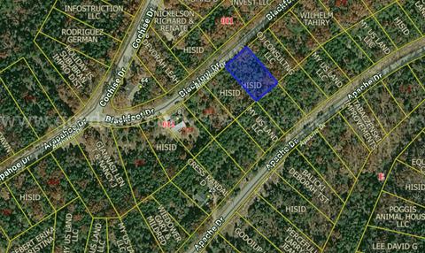 Finance huge 0.25 Acre Lot in the Beautiful Community of Holiday Island