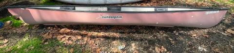 10-168 red Sun dolphin