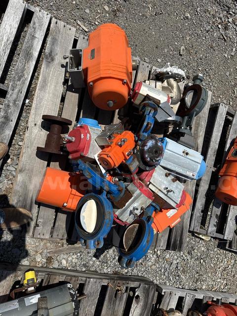 Valves, Gate, Butterfly, 2in to 8in, CL150, CF8M, Qty 36