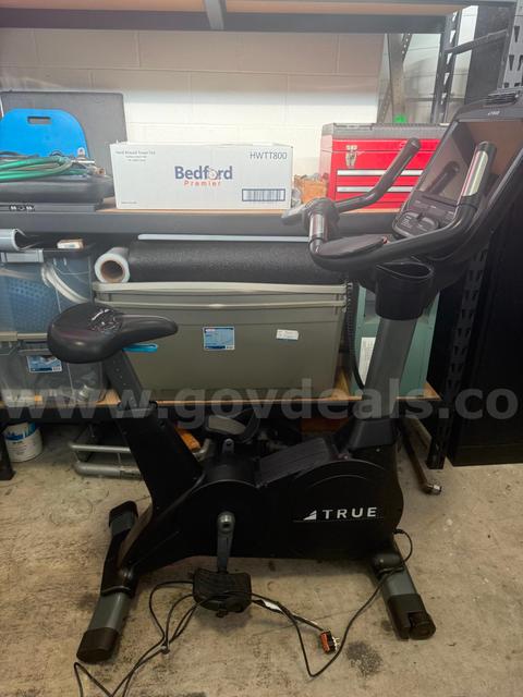 True Fitness Upright Bike