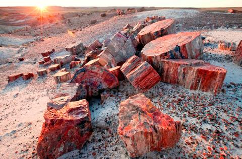 Arizona Quarter Acre Buildable Lot Near National Park Petrified Forest - Down Payment Auction