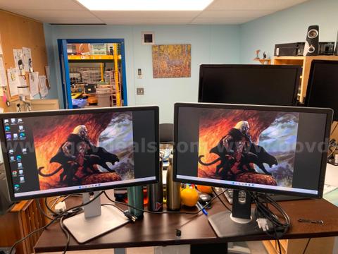 2- 24" DELL LCD Monitors Local pick up only