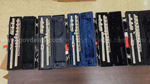 Asset #352: Flutes (20), Piccolos (3)